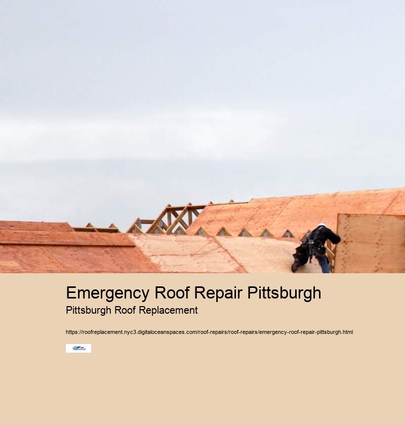 Emergency Roof Repair Pittsburgh