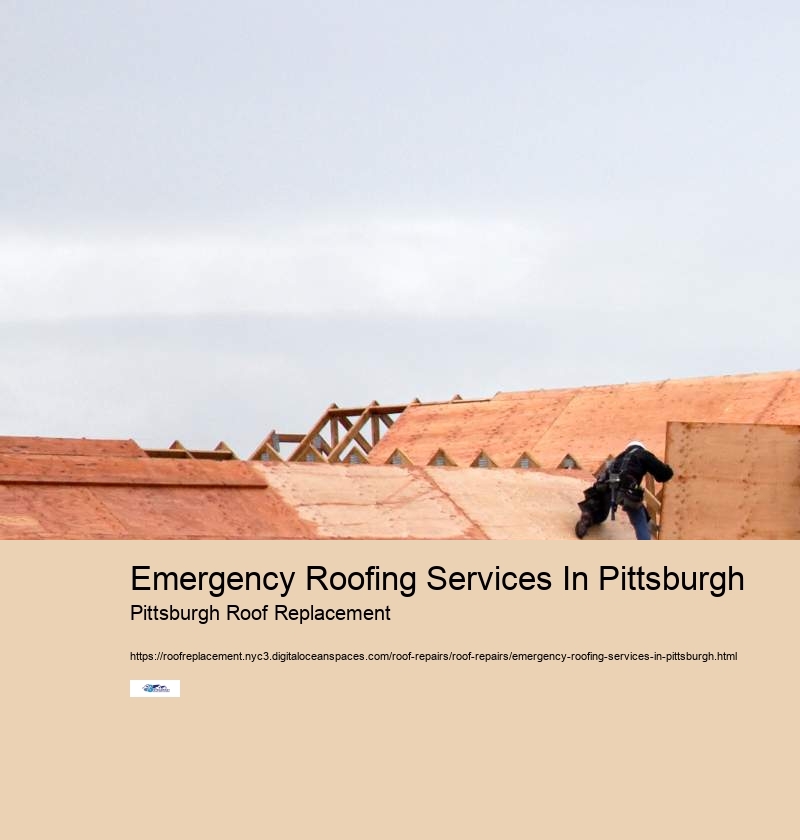 Emergency Roofing Services In Pittsburgh