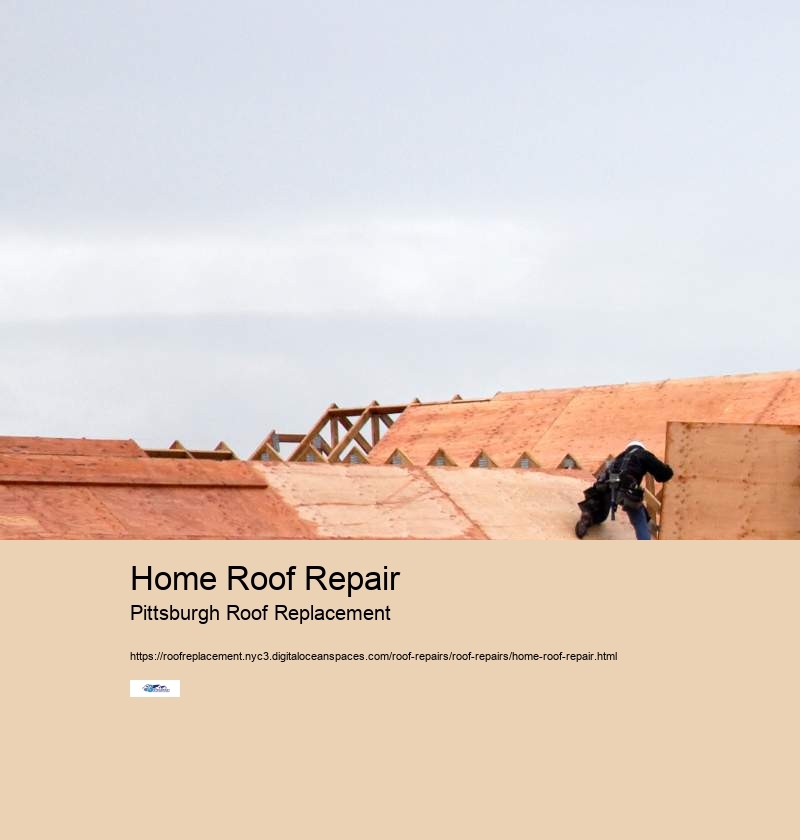 Home Roof Repair