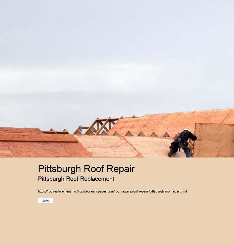 Pittsburgh Roof Repair