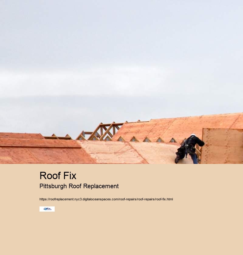 Roof Fix