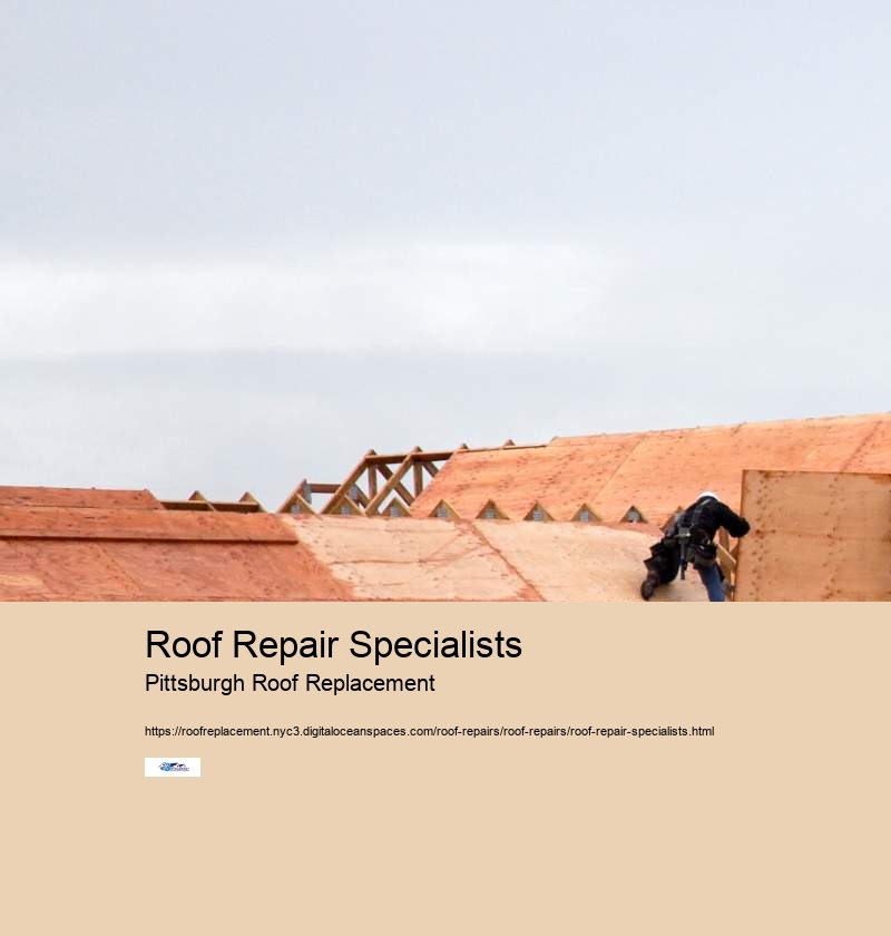 Roof Repair Specialists